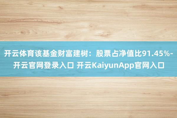 开云体育该基金财富建树：股票占净值比91.45%-开云官网登录入口 开云KaiyunApp官网入口