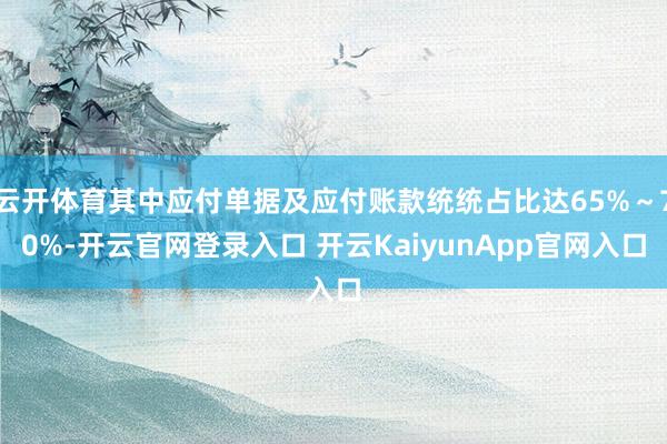 云开体育其中应付单据及应付账款统统占比达65%～70%-开云官网登录入口 开云KaiyunApp官网入口